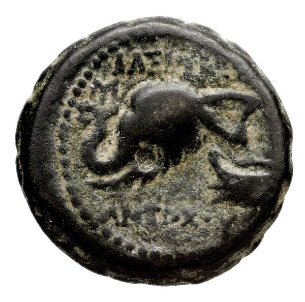 реверс Seleucid Coins (part 2) 1477.2k
