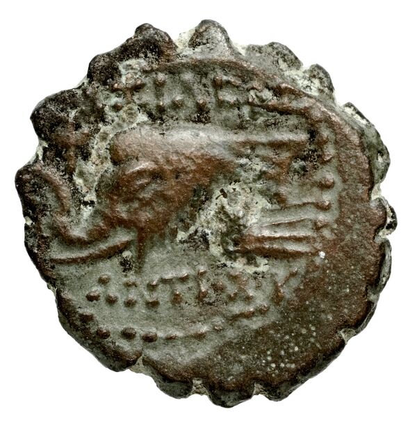 реверс Seleucid Coins (part 2) 1477.2m