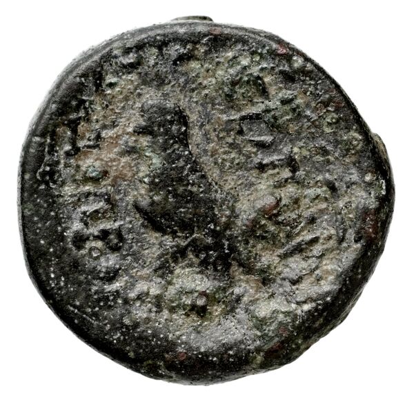 реверс Seleucid Coins (part 2) 1391