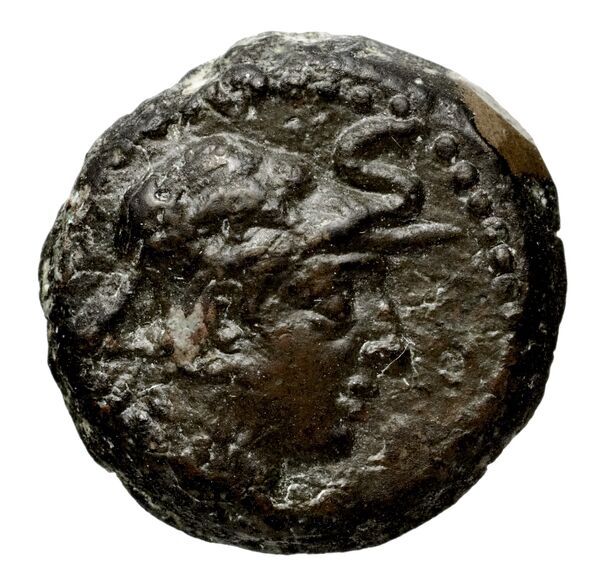 аверс Seleucid Coins (part 2) 1696