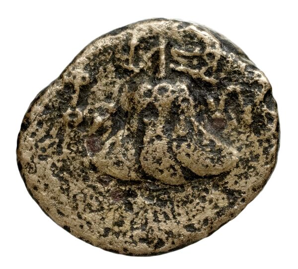 реверс Seleucid Coins (part 2) 1828