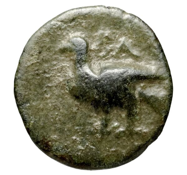 реверс Seleucid Coins (part 2) 1848