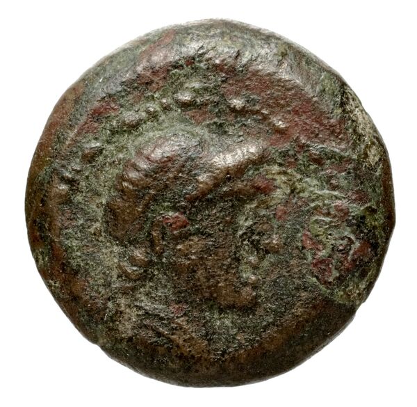 аверс Seleucid Coins (part 2) 1850