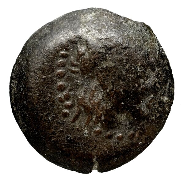 аверс Seleucid Coins (part 2) 2125