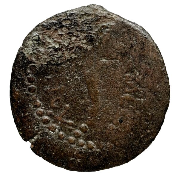 реверс Seleucid Coins (part 2) 2125