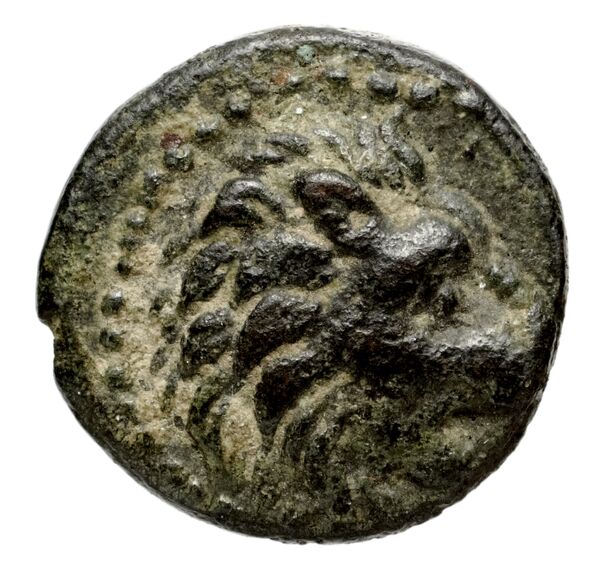 аверс Seleucid Coins (part 2) 2068.4a