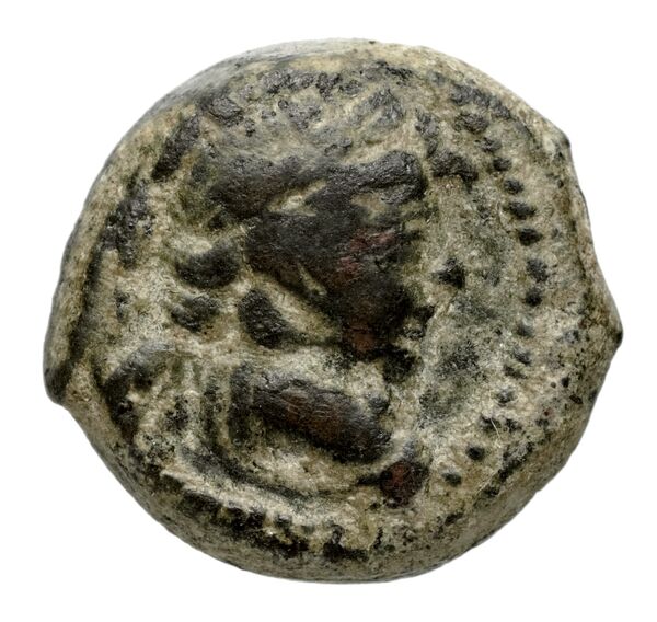 аверс Seleucid Coins (part 2) 2230.1b