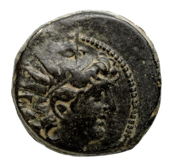 аверс Seleucid Coins (part 2) 2263.2c