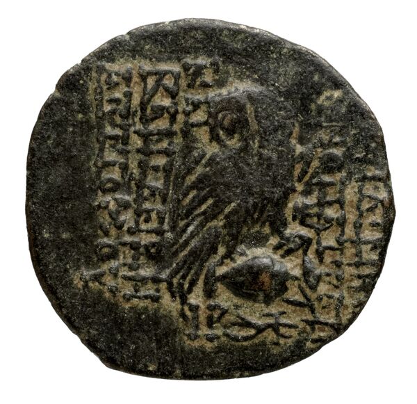 реверс Seleucid Coins (part 2) 2263.2c