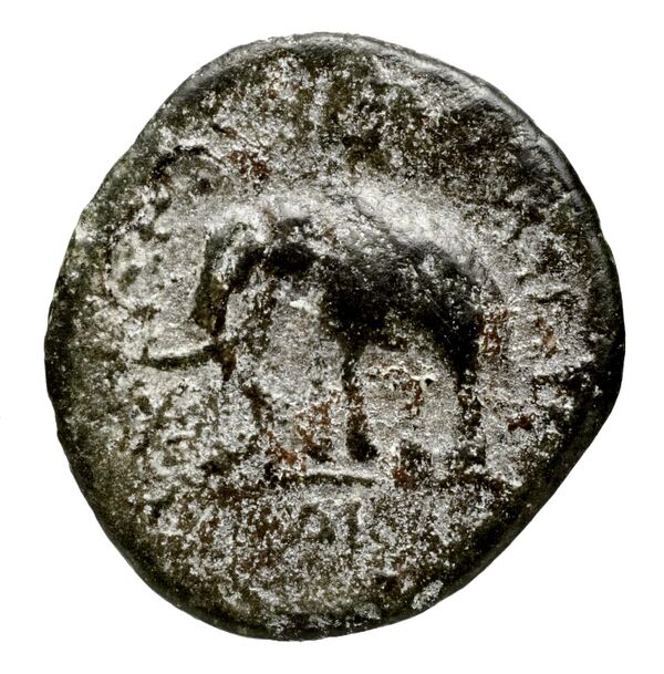 реверс Seleucid Coins (part 1) 982