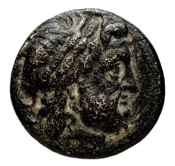 Seleucid Coins (part 1) 355, аверс, BnF (HRC)
