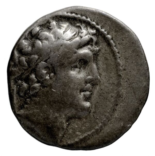 аверс Seleucid Coins (part 2) 1785.5b