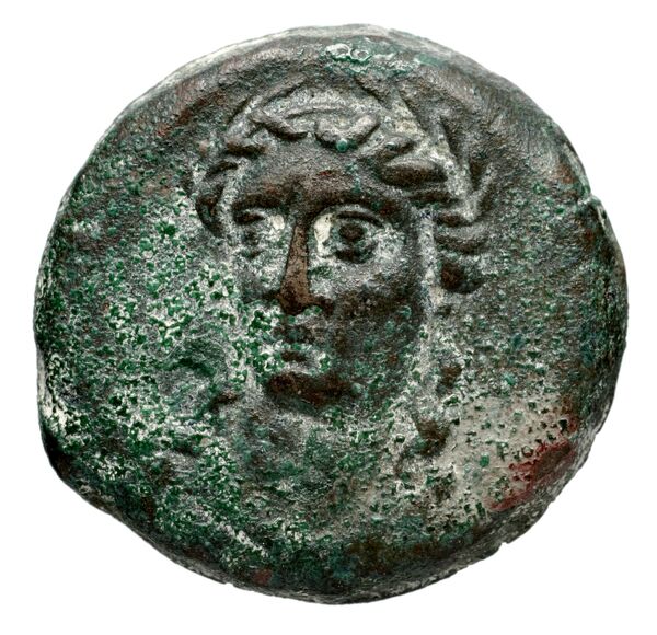 Seleucid Coins (part 1) 1176, аверс, bnf-hrc