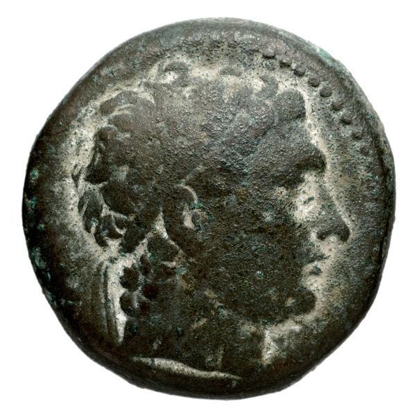Seleucid Coins (part 1) 1275a, аверс, BnF (HRC)