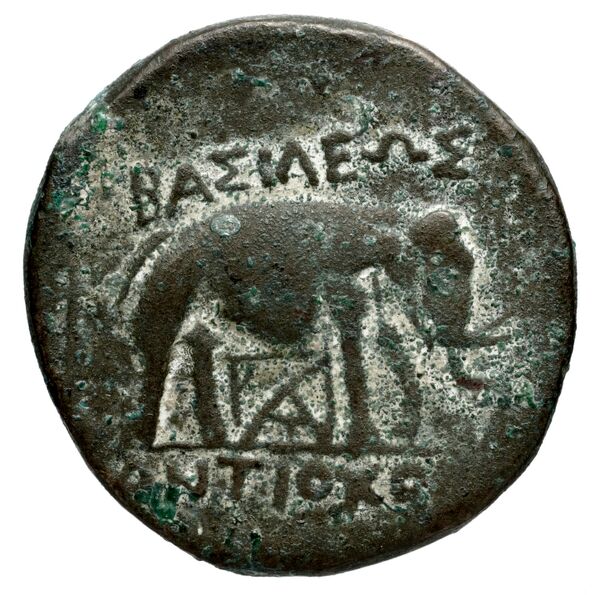 Seleucid Coins (part 1) 1275a, реверс, BnF (HRC)