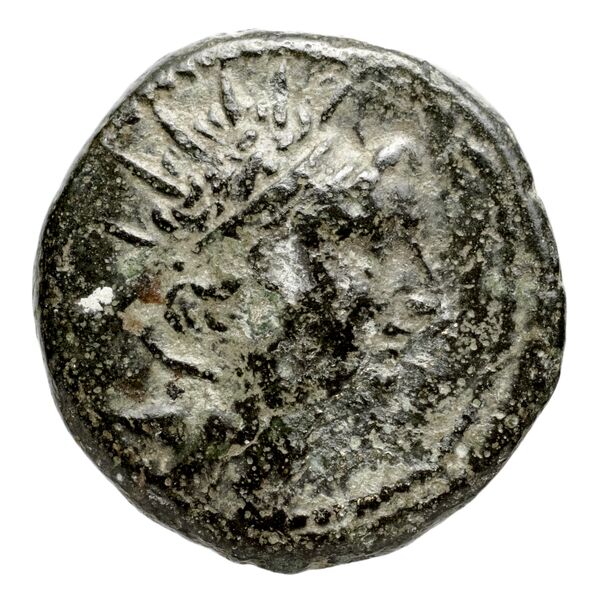 obverse Seleucid Coins (part 2) 2074.1