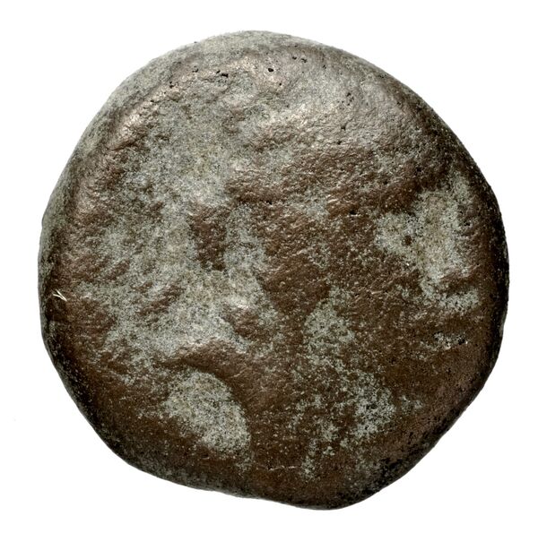 Seleucid Coins (part 1) 1254, аверс, BnF (HRC)