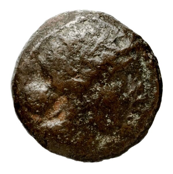 аверс Seleucid Coins (part 1) 938