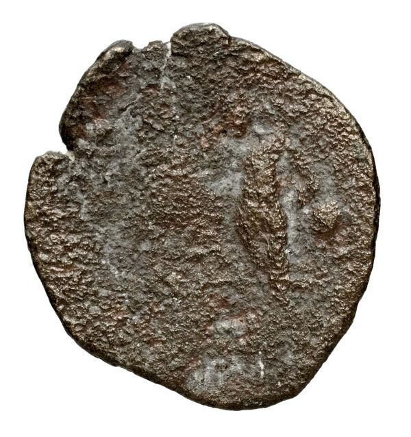 Seleucid Coins (part 1) 1185, реверс, bnf-hrc