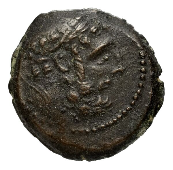 аверс Seleucid Coins (part 2) 2368