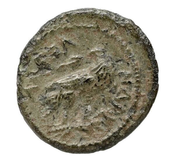 Price 28, реверс, bnf-hrc