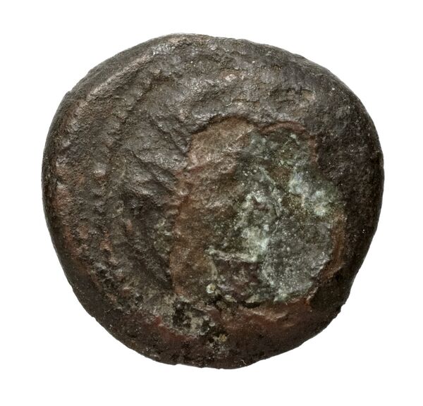 Price 3334, аверс, bnf-hrc
