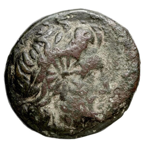 аверс Newell Demetrius Poliorcetes, no. 39
