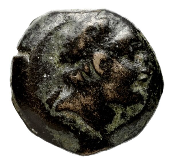 аверс Seleucid Coins (part 2) 2129.1