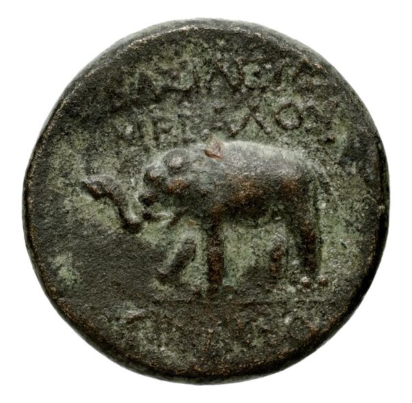 реверс Seleucid Coins (part 2) 1607
