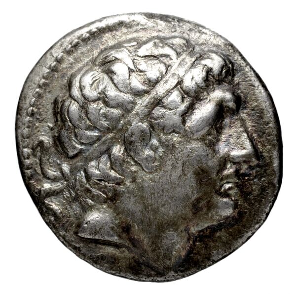аверс Seleucid Coins (part 1) 505.2