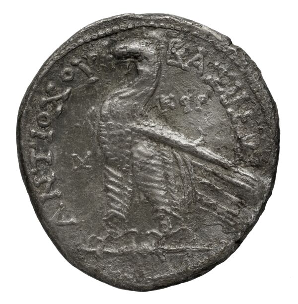 реверс Seleucid Coins (part 2) 2337.3