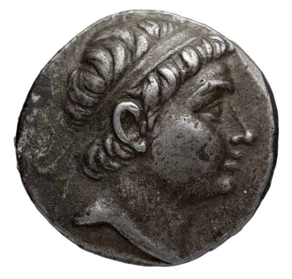 аверс Seleucid Coins (part 1) 1069.3b