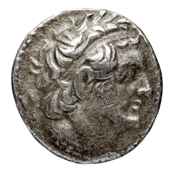 аверс Coins of the Ptolemaic Empire Vol. I, Part 1, no. 442