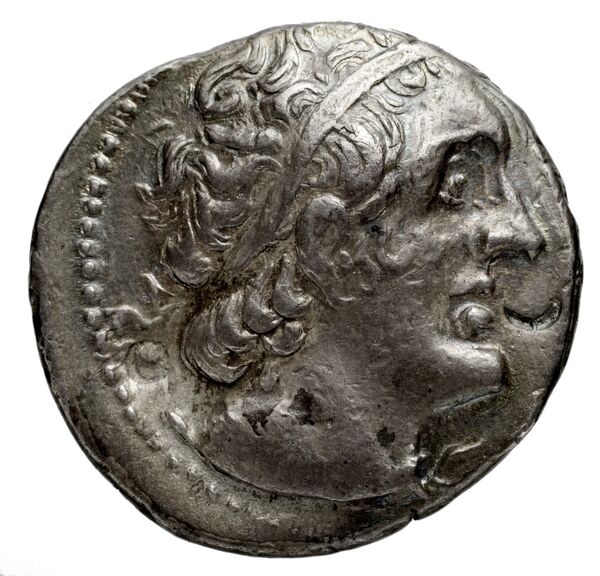 Coins of the Ptolemaic Empire Vol. I, Part 1, no. 561, аверс, bnf-hrc
