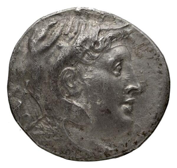 аверс Coins of the Ptolemaic Empire Vol. I, Part 1, no. 113