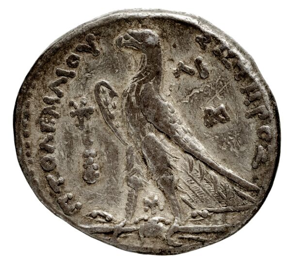 Coins of the Ptolemaic Empire Vol. I, Part 1, no. 591, реверс, BnF (HRC)