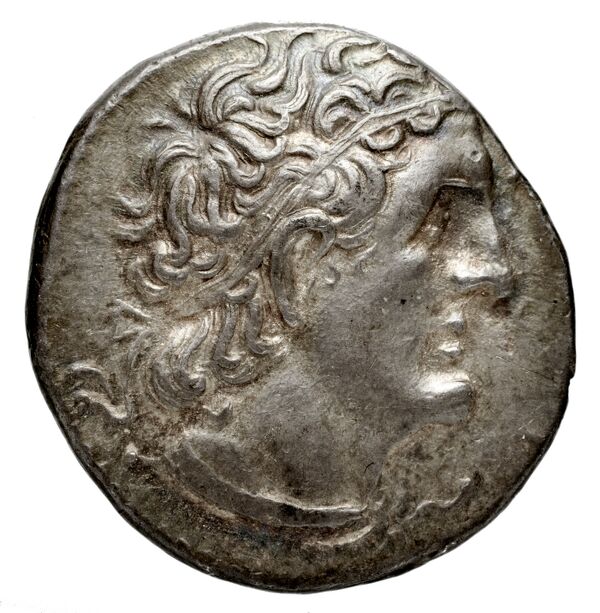 Coins of the Ptolemaic Empire Vol. I, Part 1, no. 505, аверс, BnF (HRC)