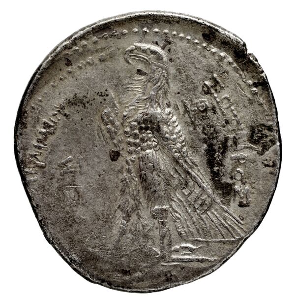 Coins of the Ptolemaic Empire Vol. I, Part 1, no. 505, реверс, BnF (HRC)