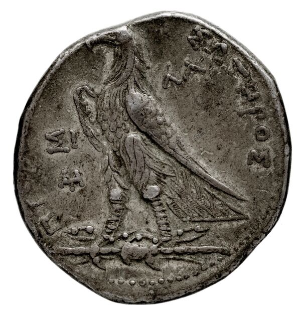 Coins of the Ptolemaic Empire Vol. I, Part 1, no. 522, реверс, BnF (HRC)