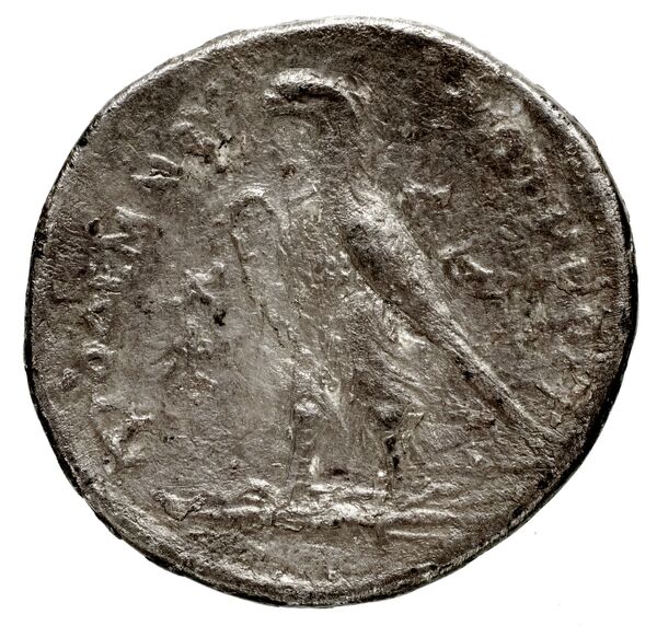 реверс Coins of the Ptolemaic Empire Vol. I, Part 1, no. 686