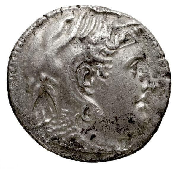 аверс Coins of the Ptolemaic Empire Vol. I, Part 1, no. 118