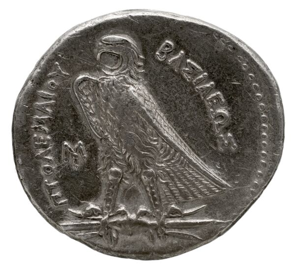 Coins of the Ptolemaic Empire Vol. I, Part 1, no. 156, реверс, BnF (HRC)