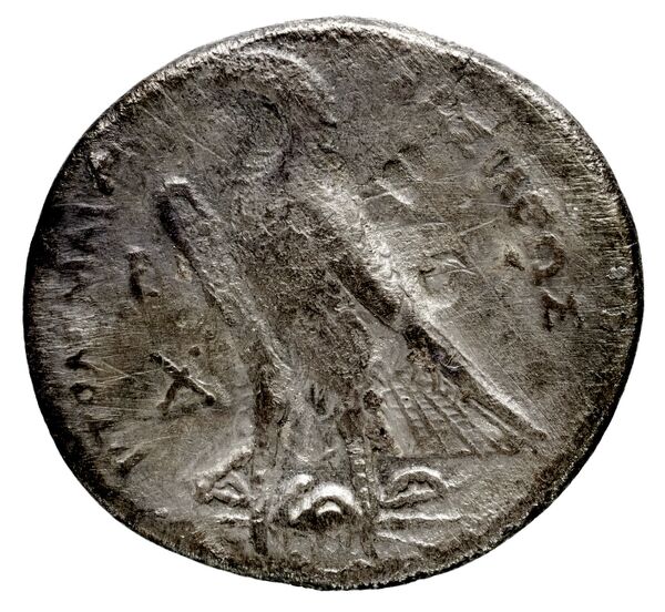 Coins of the Ptolemaic Empire Vol. I, Part 1, no. 142, реверс, bnf-hrc