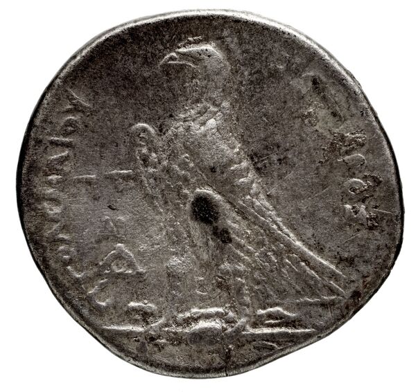 Coins of the Ptolemaic Empire Vol. I, Part 1, no. 462, реверс, BnF (HRC)