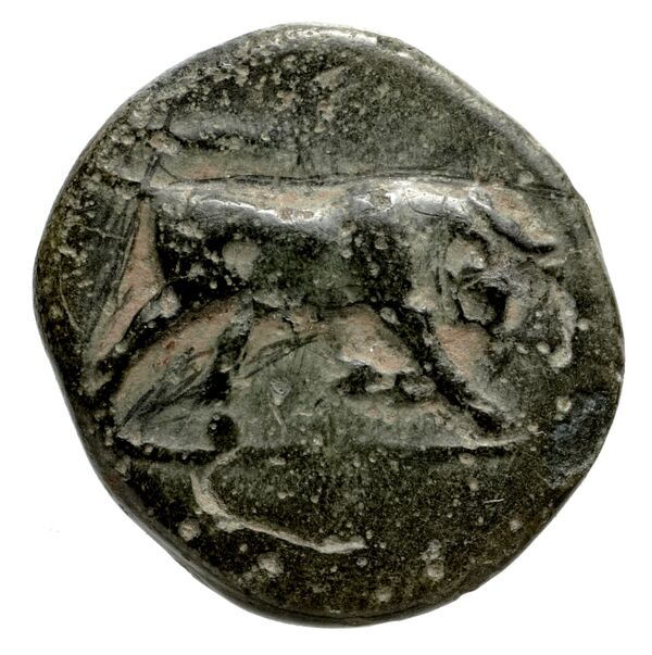 Caunus Konuk 1998 pl. 50, B, аверс, bnf-iris