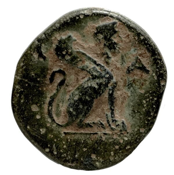 Caunus Konuk 1998 pl. 50, B, реверс, bnf-iris