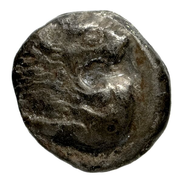 Miletus Babelon 1907 430, аверс, bnf-iris