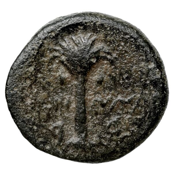Aradus Duyrat 2005 1630-1642, реверс, bnf-iris