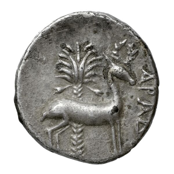Aradus Duyrat 2005 2573-3009, реверс, bnf-iris