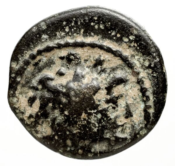 Ptolemais-Ake Kadman 1961 11-44, аверс, BnF (IRIS)
